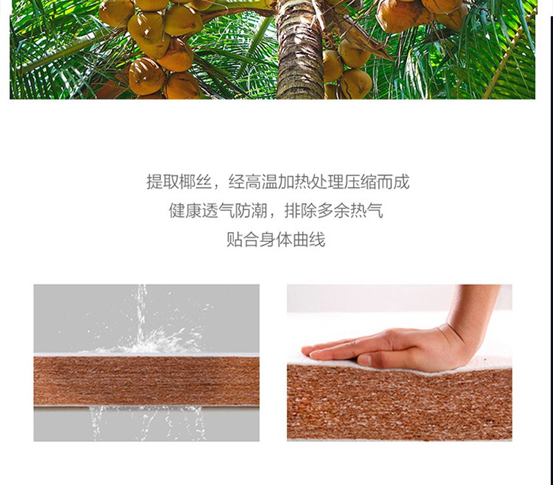 Q106蓝梦七号_15.jpg